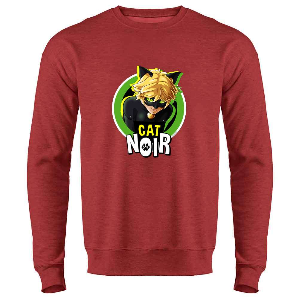 Adrien Miraculous Ladybug Shirts Miraculous Ladybug And Cat Noir