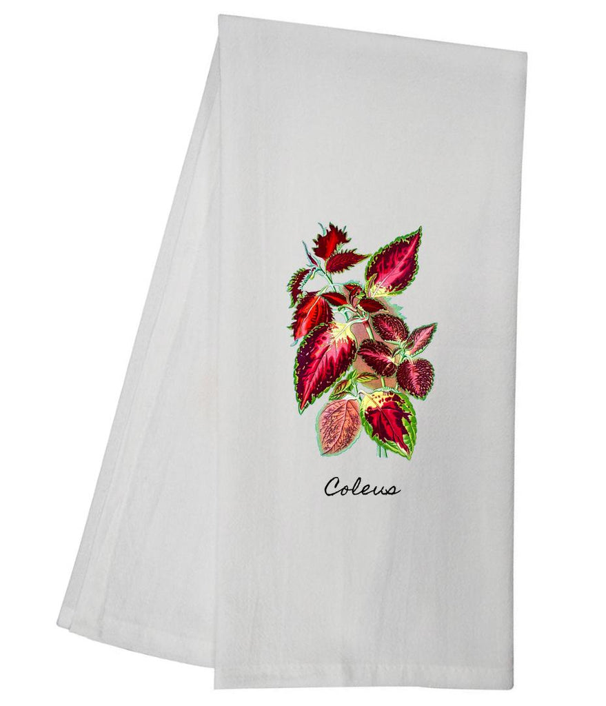 Coleus Tea Towel GGTT335