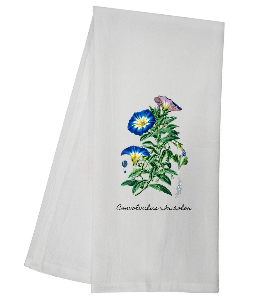 Convolvulus Tricolor Tea Towel GGTT370